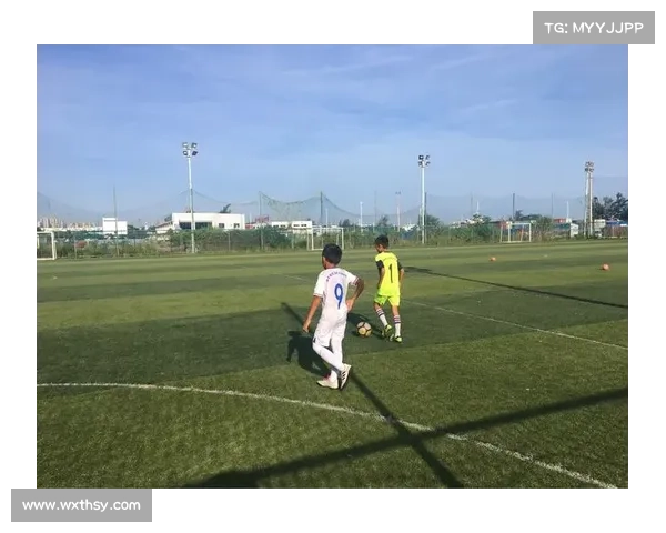 掌握纳英戈兰实用技巧与操作细节全面提升球场控制力